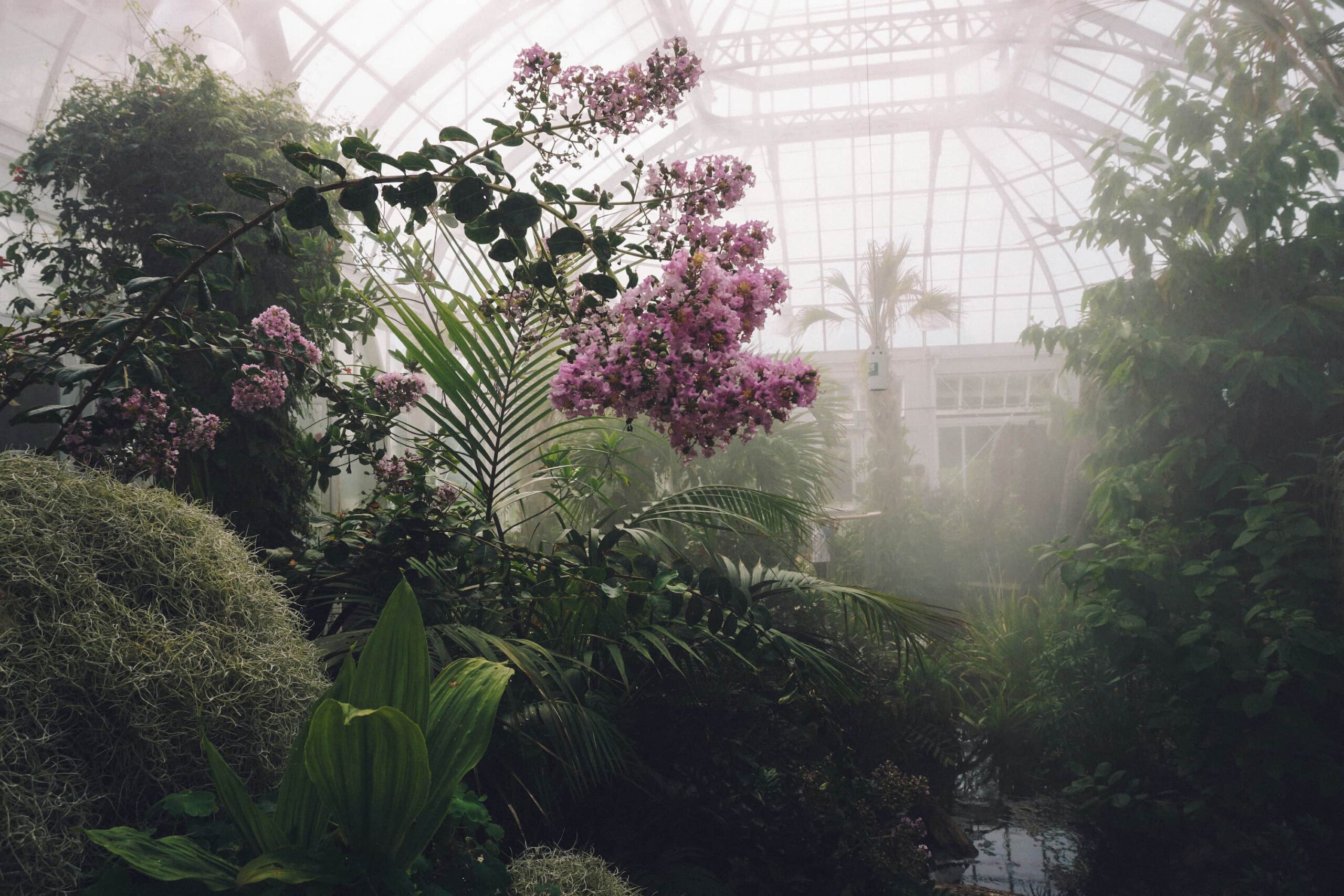 Oleza Gardens