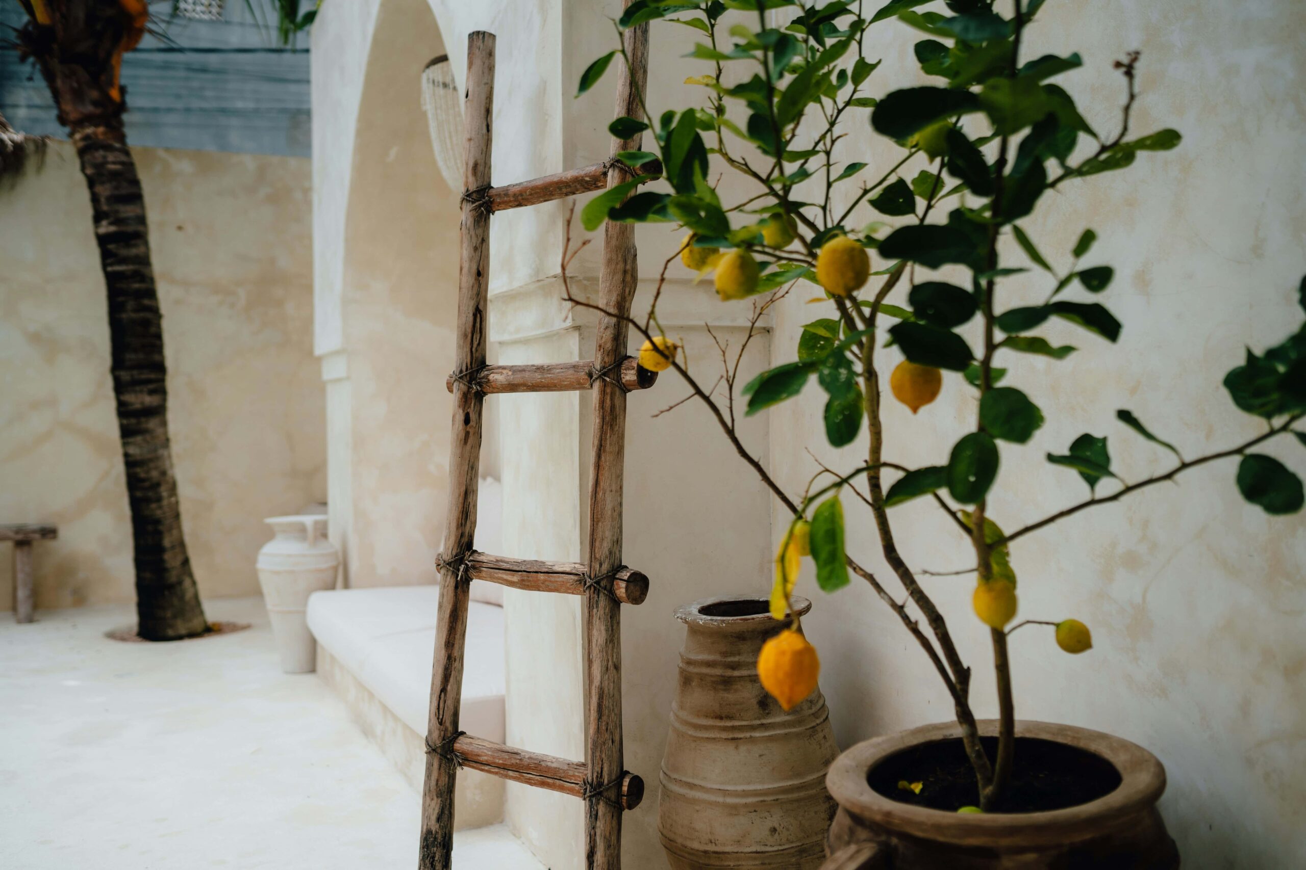 Terraza mediterránea diseñada para disfrutar del exterior con vegetación y sombra natural.