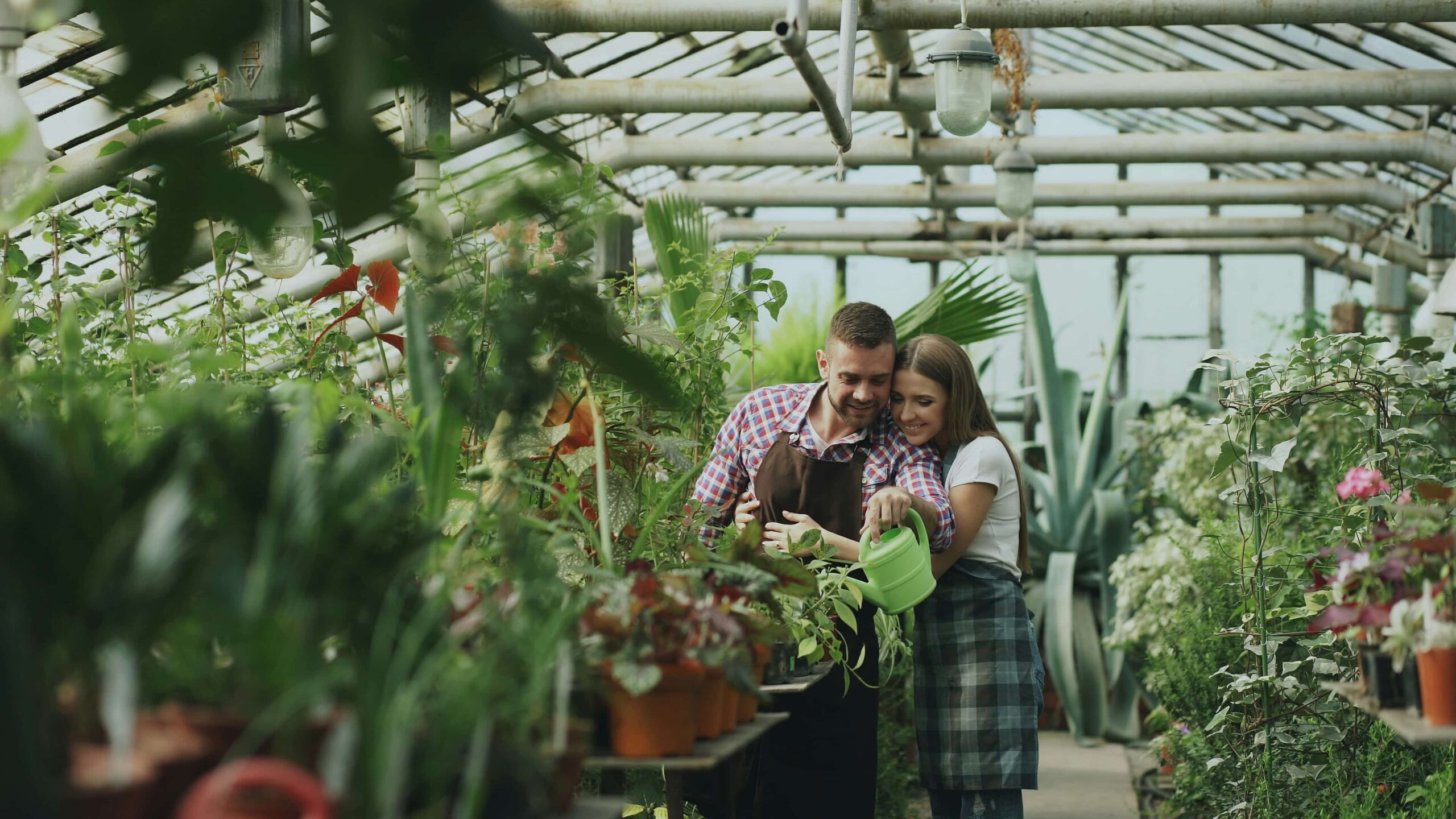 Oleza Gardens Space